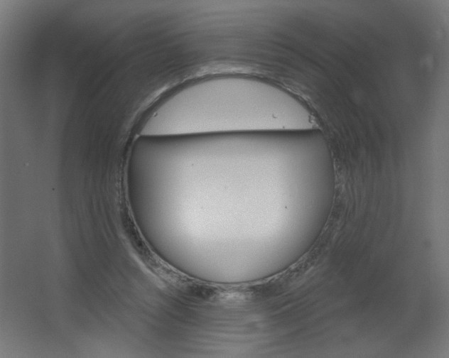 X0000064720352200602100937