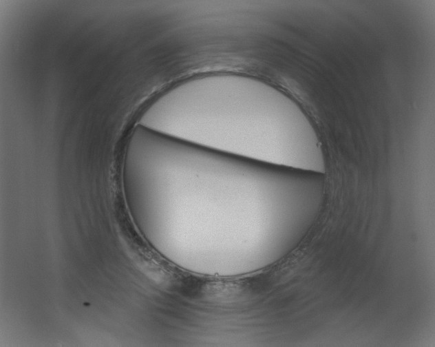 X0000064720354200602100937