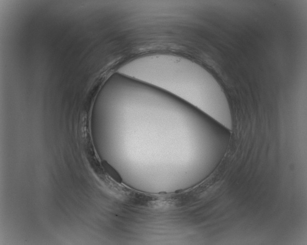 X0000064720356200602100938