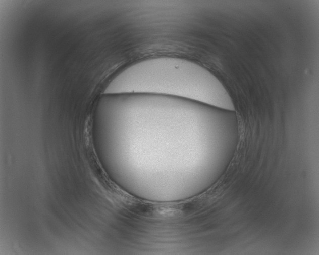 X0000064720360200602100938