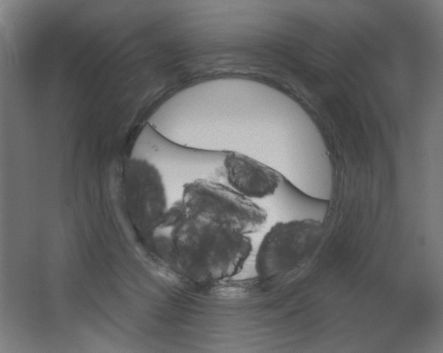X0000064720361200602100938
