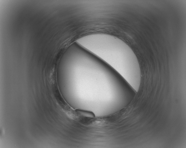 X0000064720364200602100938