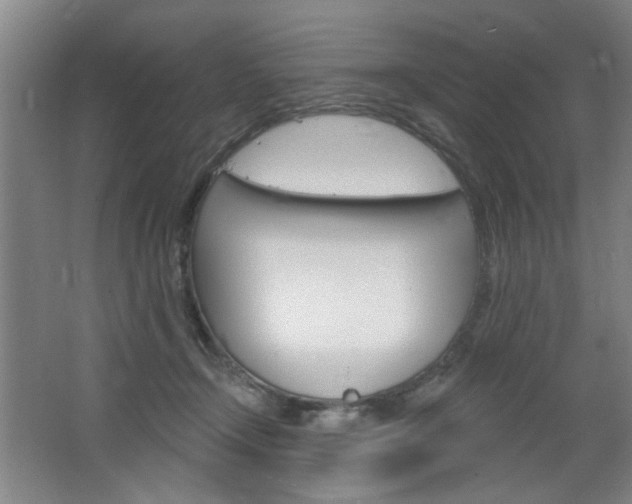 X0000064720366200602100938