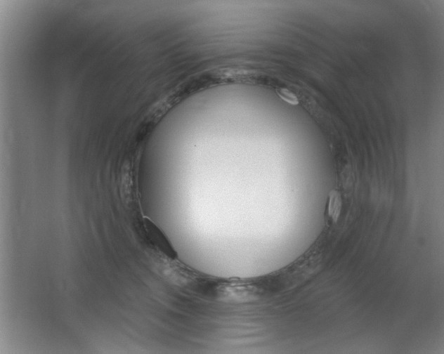 X0000064720372200602100938