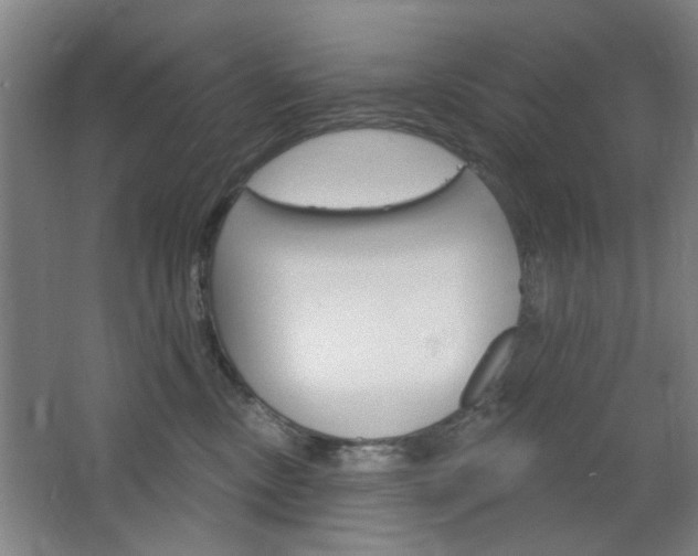 X0000064720378200602100938