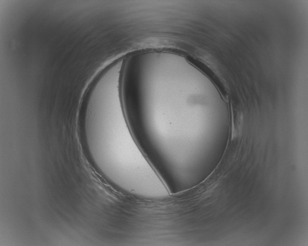 X0000064720387200602100937