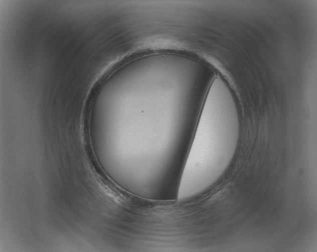 X0000064720391200602100937