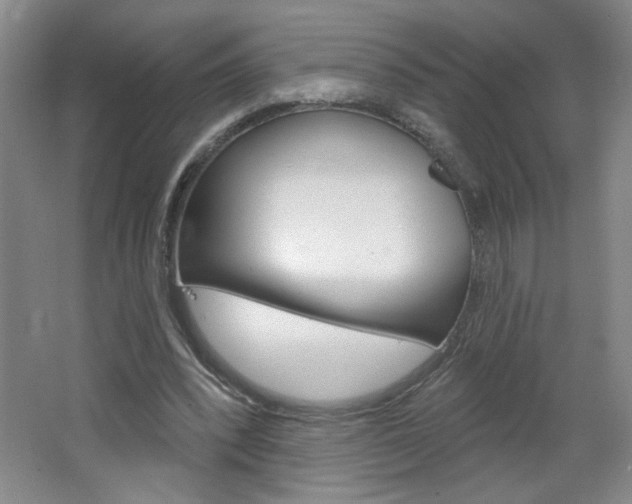 X0000064720392200602100937