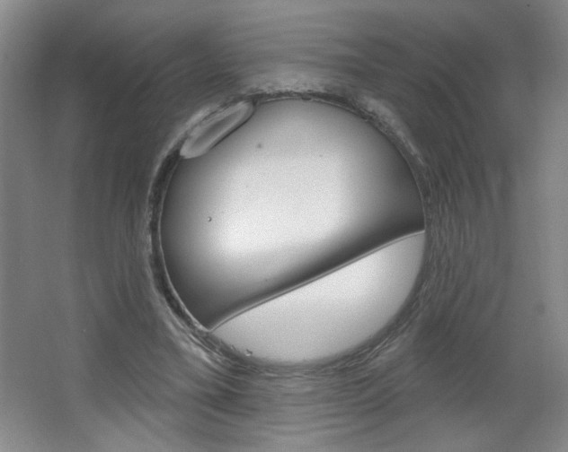 X0000064720395200602100937