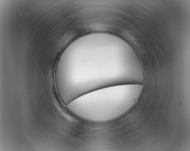 X0000064720398200602100937