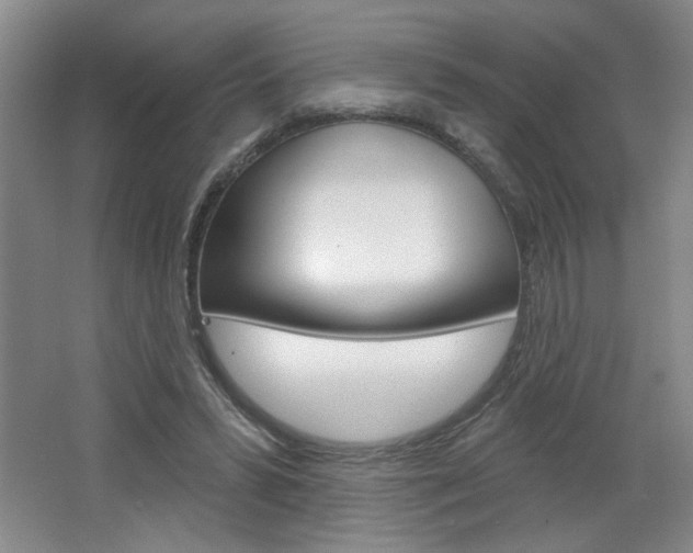X0000064720399200602100937
