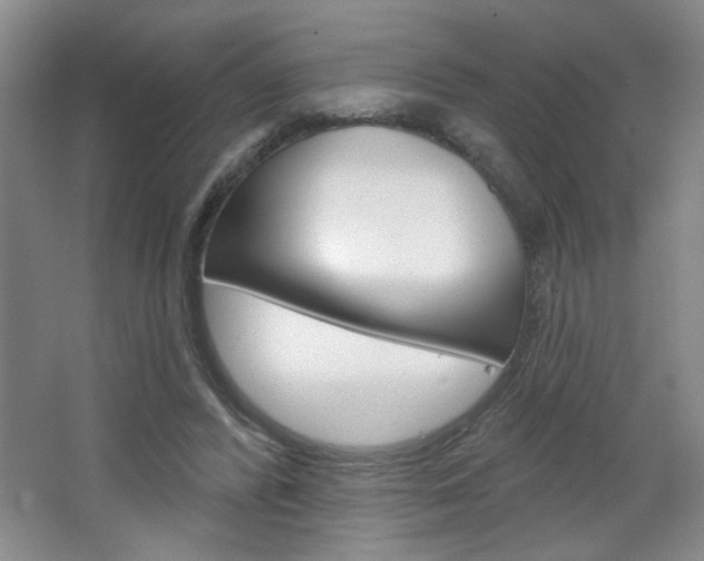 X0000064720400200602100937