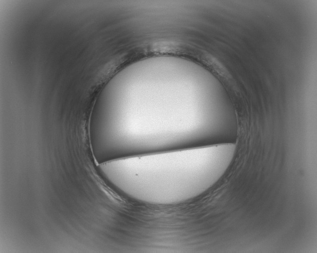 X0000064720401200602100937