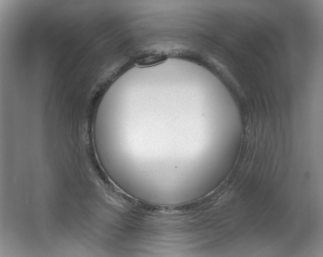 X0000064720403200602100937