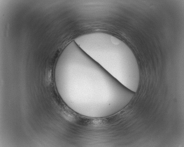 X0000064720406200602100937
