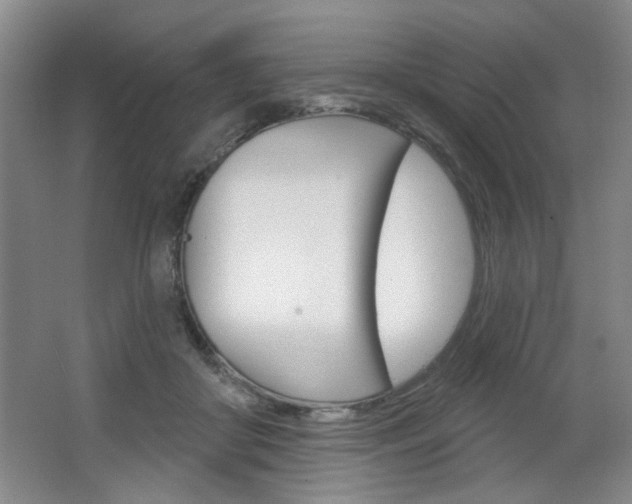 X0000064720410200602100937