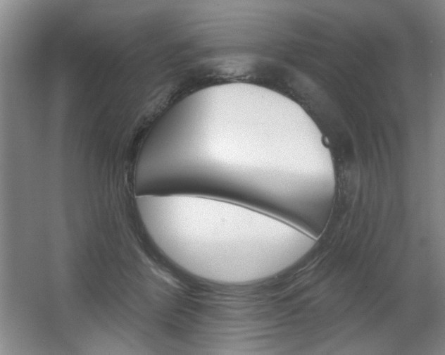 X0000064720412200602100937