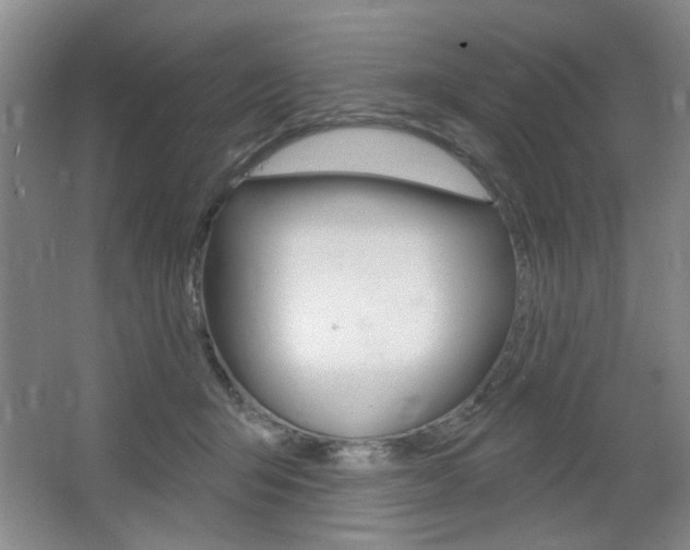 X0000064720415200602100937