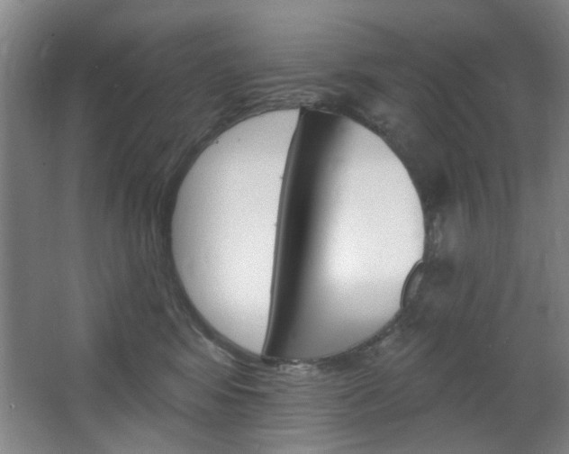 X0000064720424200602100937