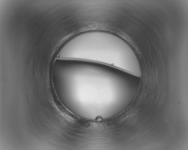 X0000064720442200602100936