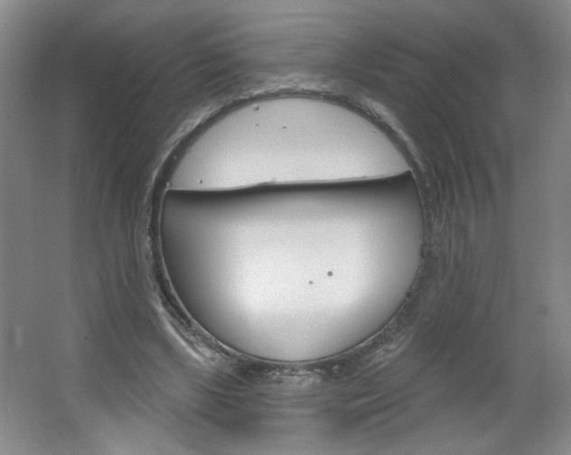 X0000064720443200602100936