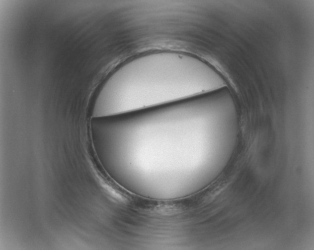 X0000064720445200602100936