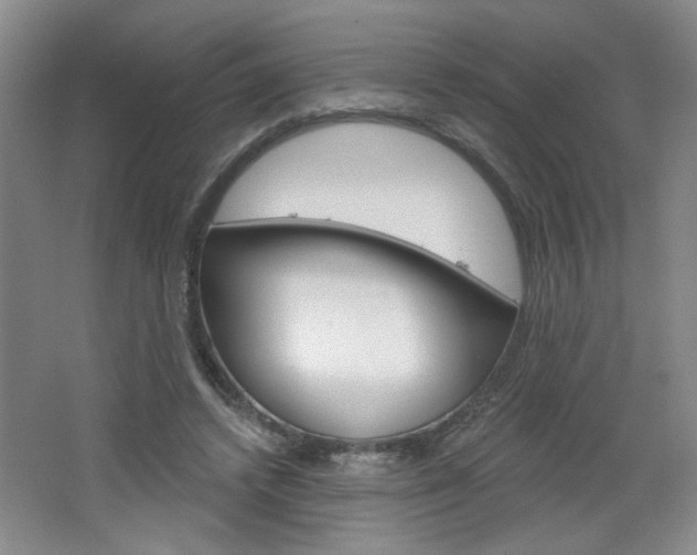 X0000064720448200602100936