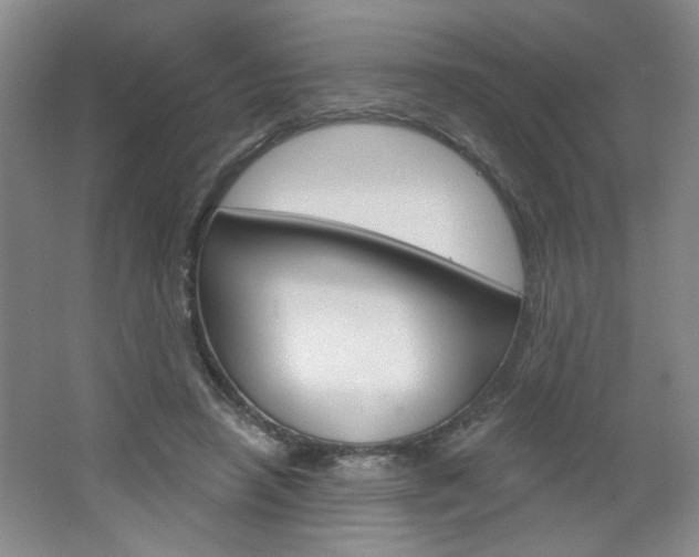 X0000064720450200602100936