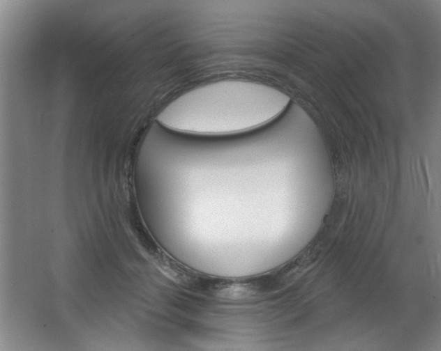 X0000064720460200602100936