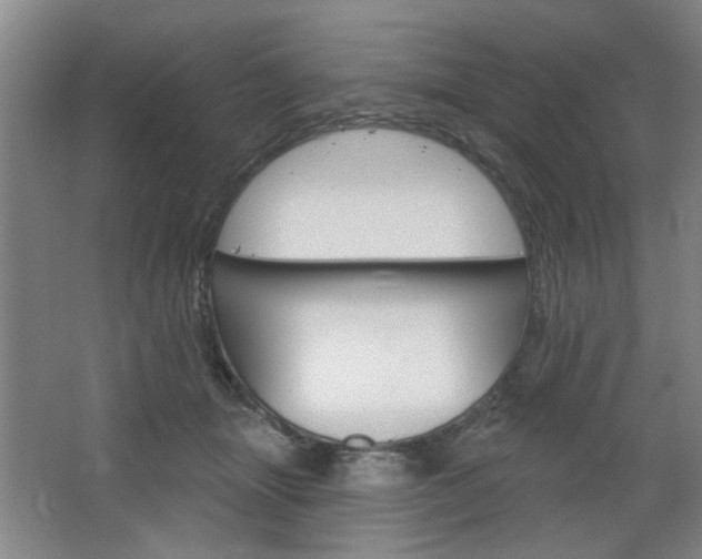 X0000064720463200602100936