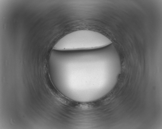 X0000064720464200602100936