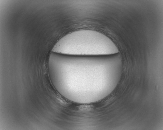 X0000064720465200602100936