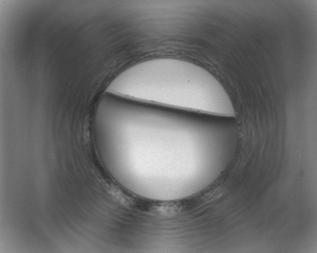 X0000064720466200602100936