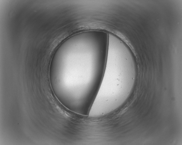 X0000064720481200602100936