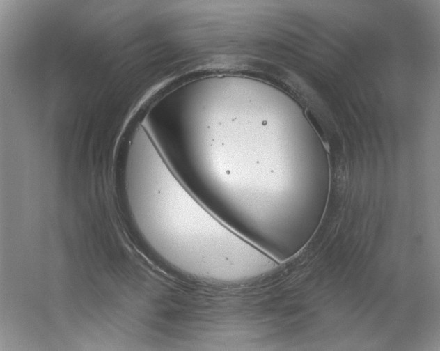 X0000064720484200602100936