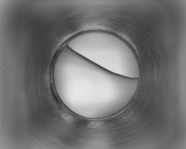 X0000064720487200602100935