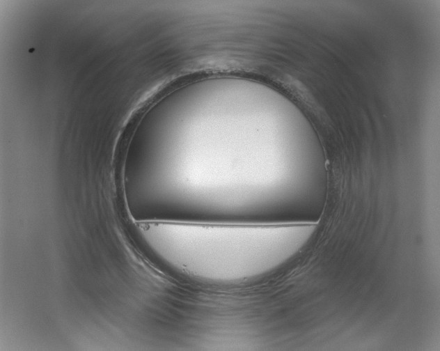 X0000064720488200602100935