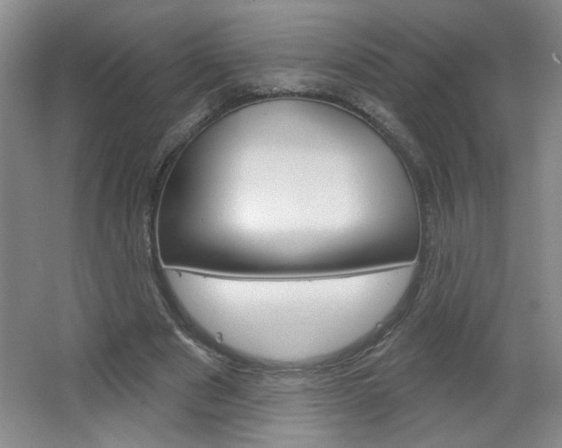 X0000064720489200602100935
