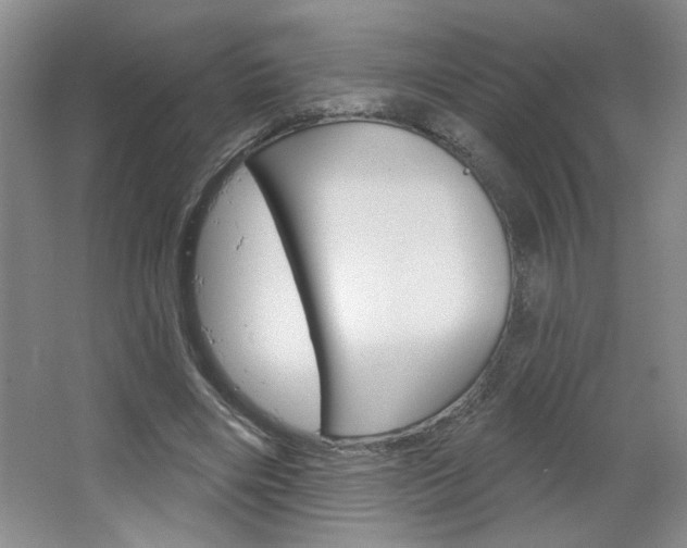 X0000064720490200602100935