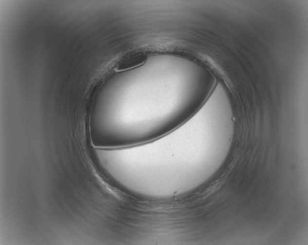 X0000064720493200602100935