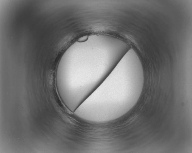 X0000064720495200602100935