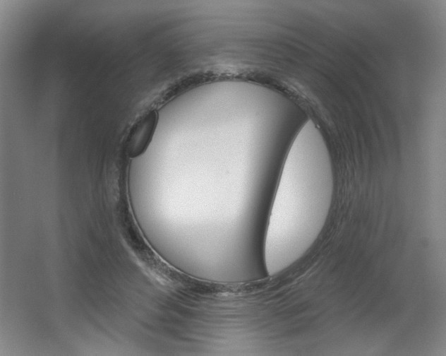 X0000064720496200602100935