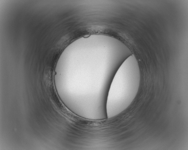 X0000064720498200602100935