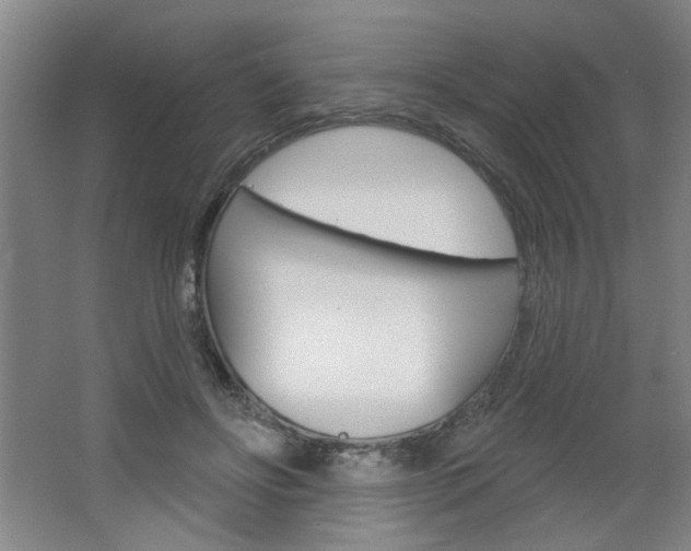 X0000064720502200602100935