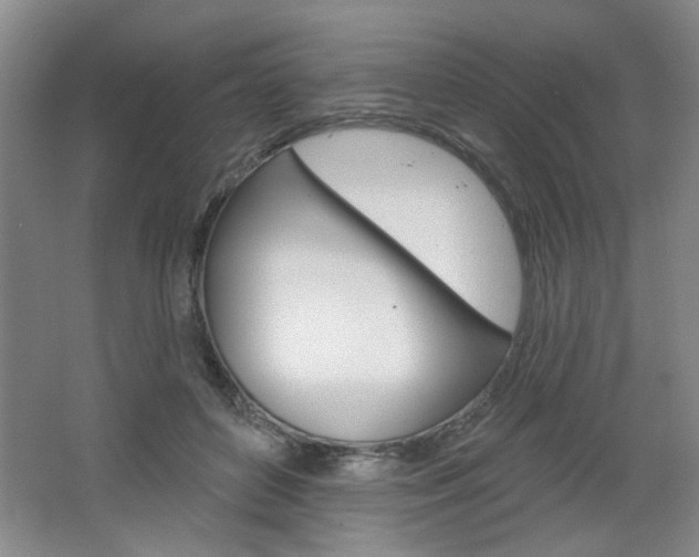 X0000064720504200602100935