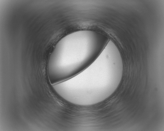 X0000064720505200602100935