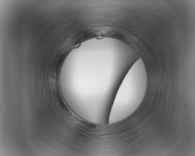 X0000064720510200602100935