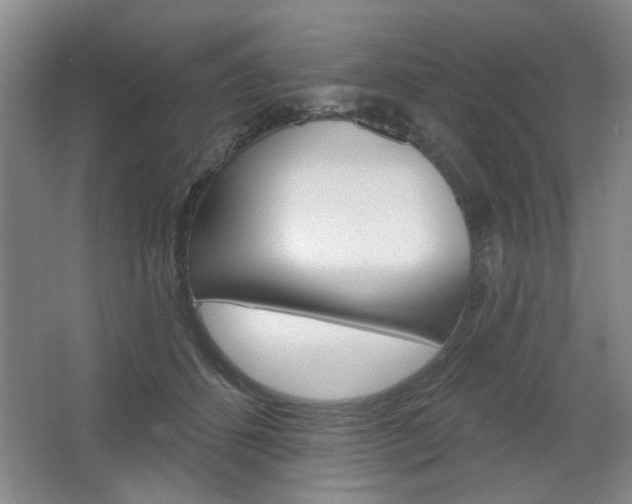 X0000064720512200602100935