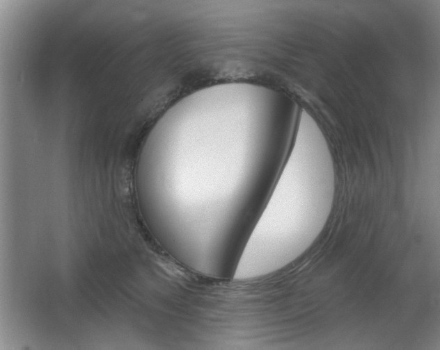 X0000064720517200602100935