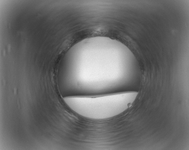 X0000064720520200602100935
